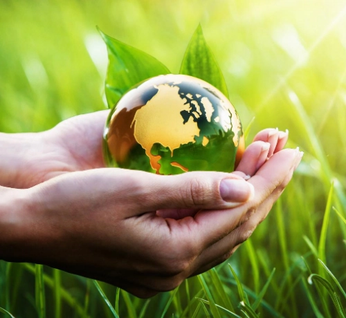 En bild på Miljöpolicy